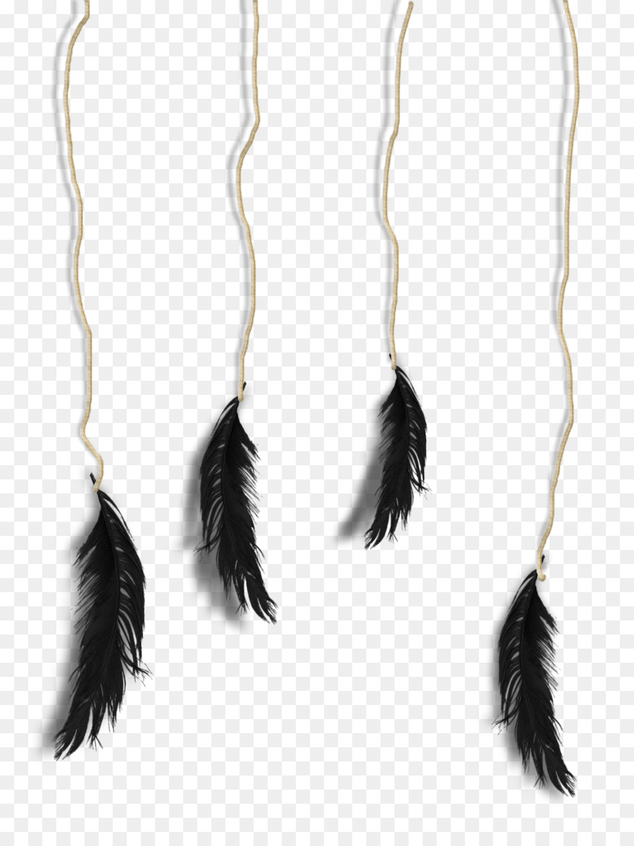 Pluma，Joyería PNG