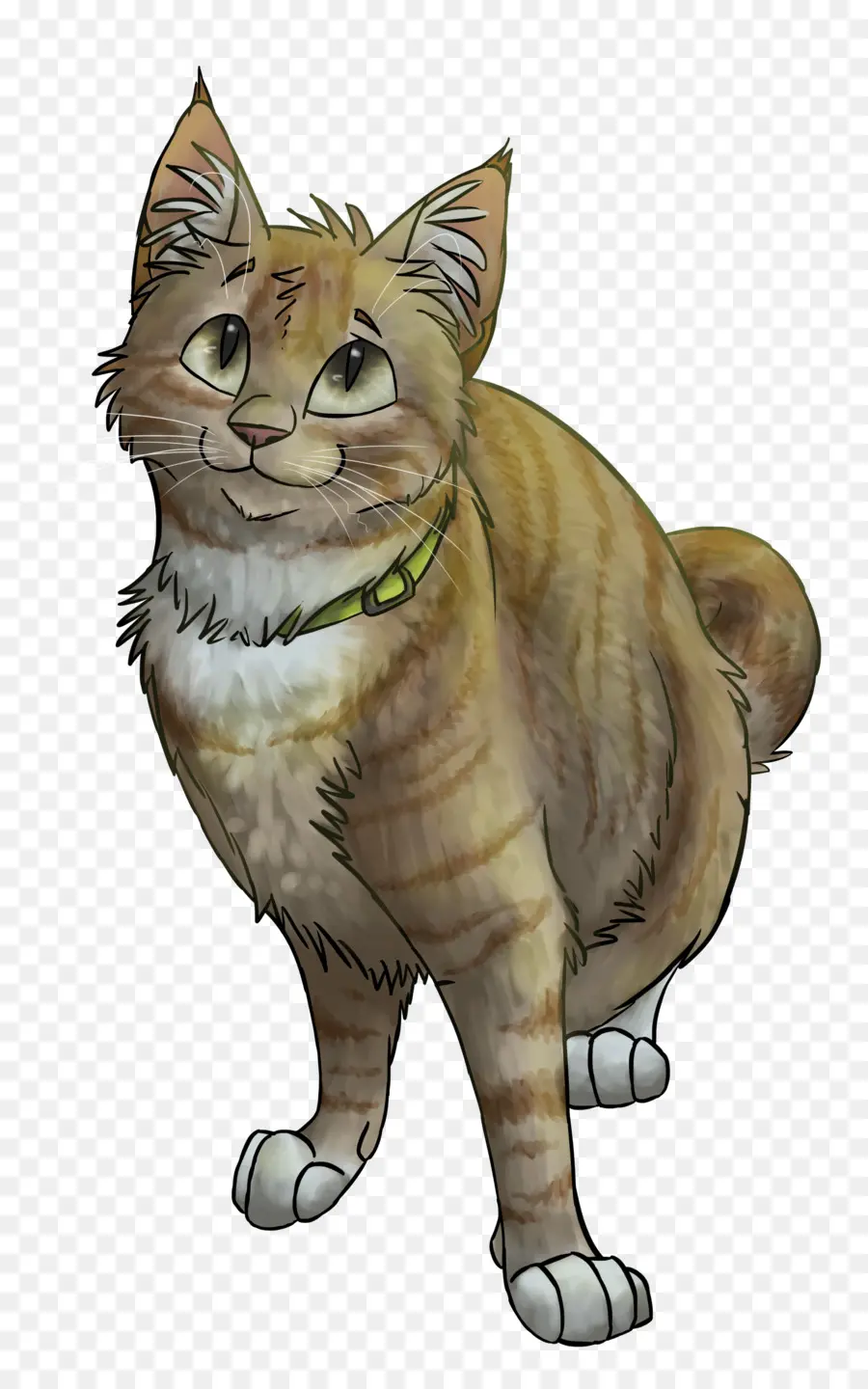 Gato De Dibujos Animados，Mascota PNG