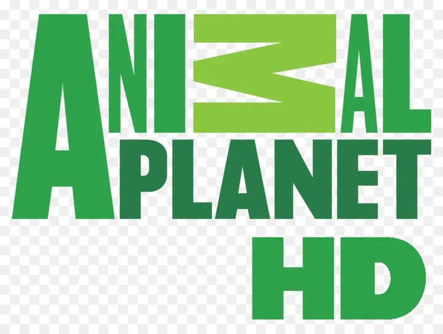 Animal Planet，La Televisión De Alta Definición PNG