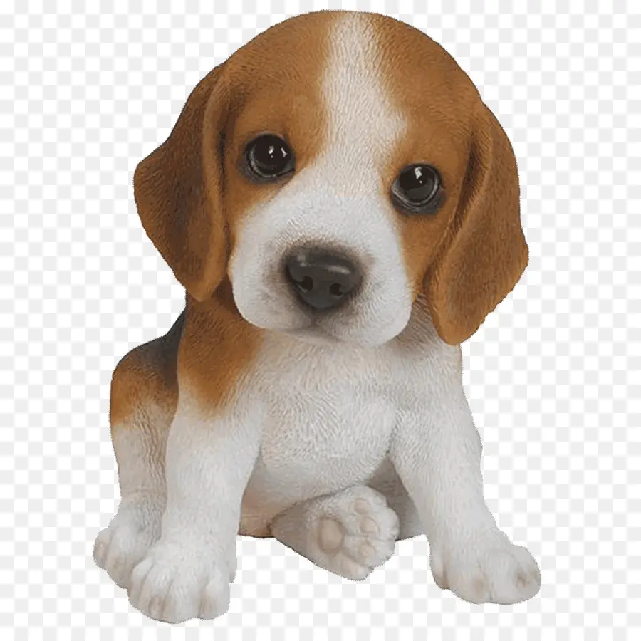 Beagle，Cachorro PNG