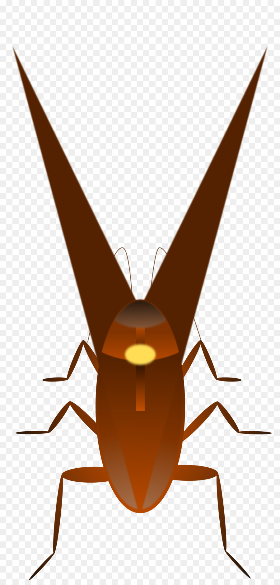 Cucaracha，Fondo De Escritorio PNG