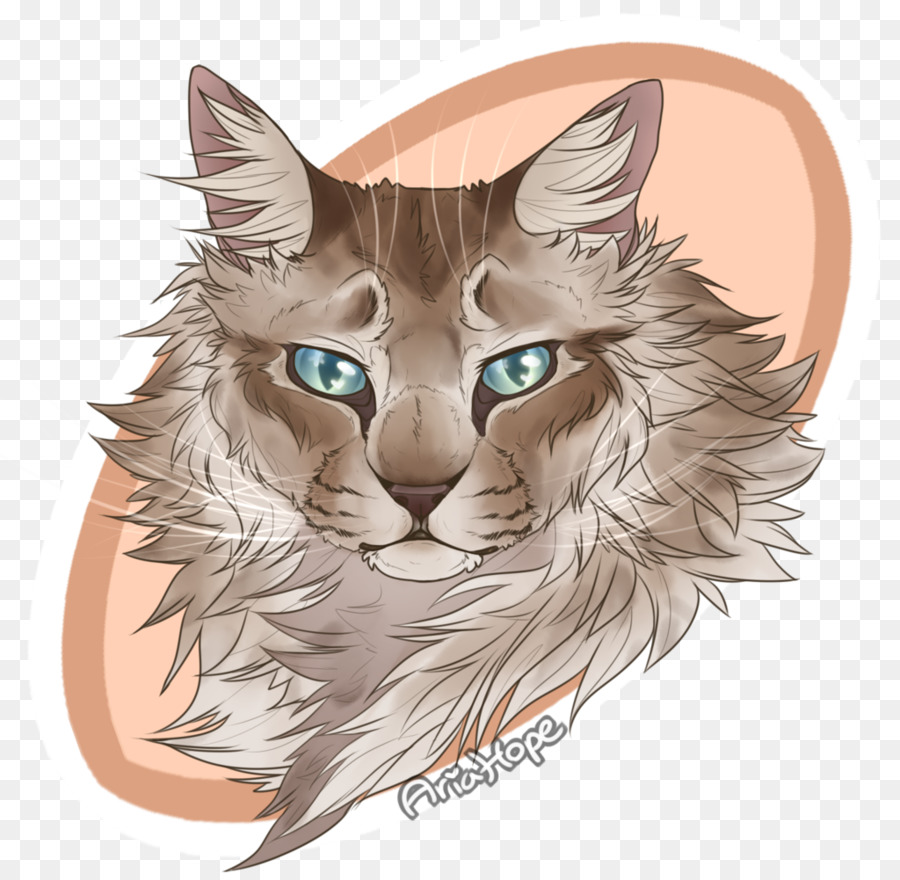 Gato，Dibujo PNG