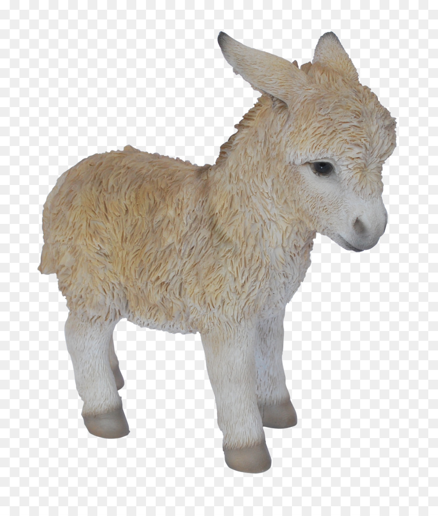 Burro，Niño PNG