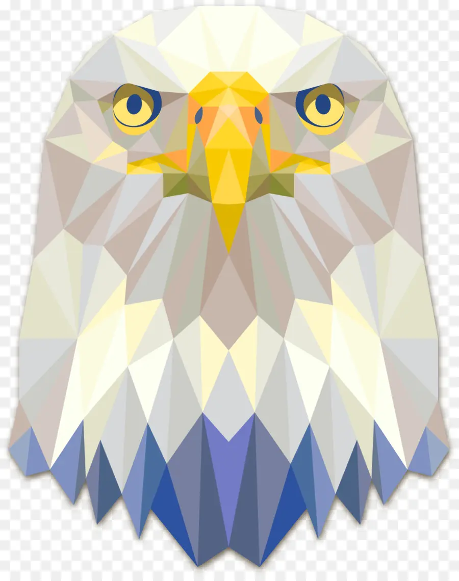 águila Calva，águila PNG