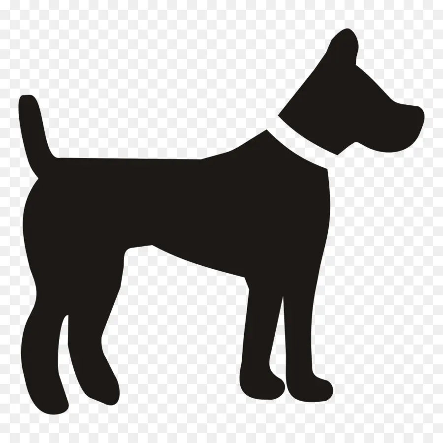 Perro，Cuidado De Mascotas PNG