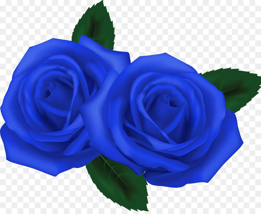 Rosas Azules，Pétalos PNG