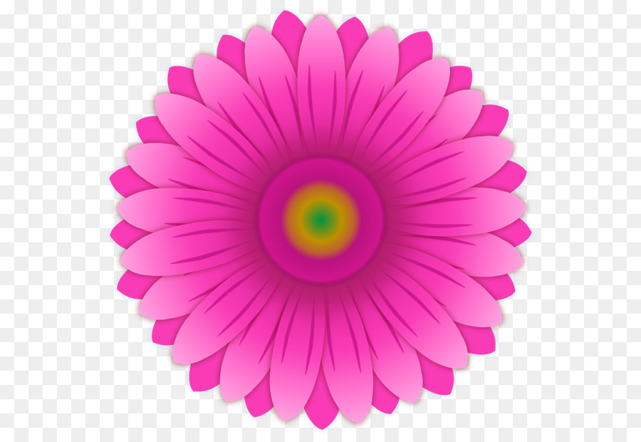 Color，Rosa PNG