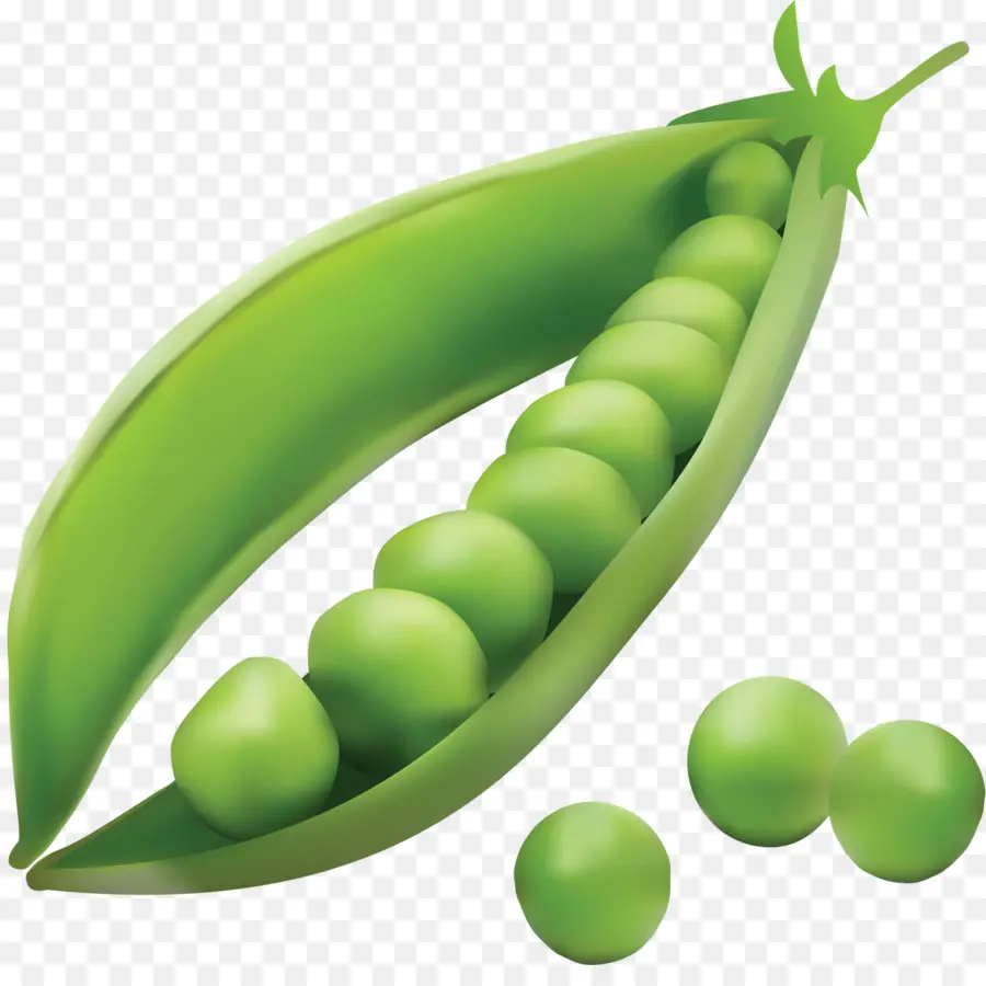 Vegetal，Legumbre PNG