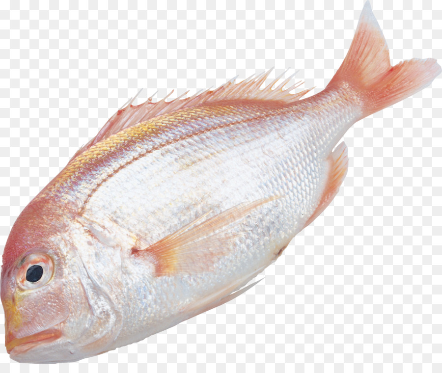 Los Peces，Información PNG