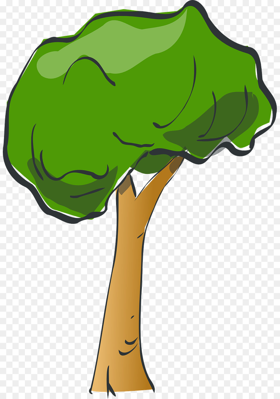 árbol Alto，Planta PNG