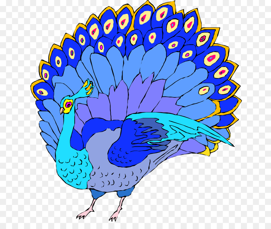 Pavo Real，Pluma PNG