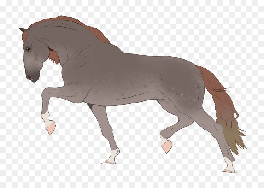 Caballos，Potro PNG