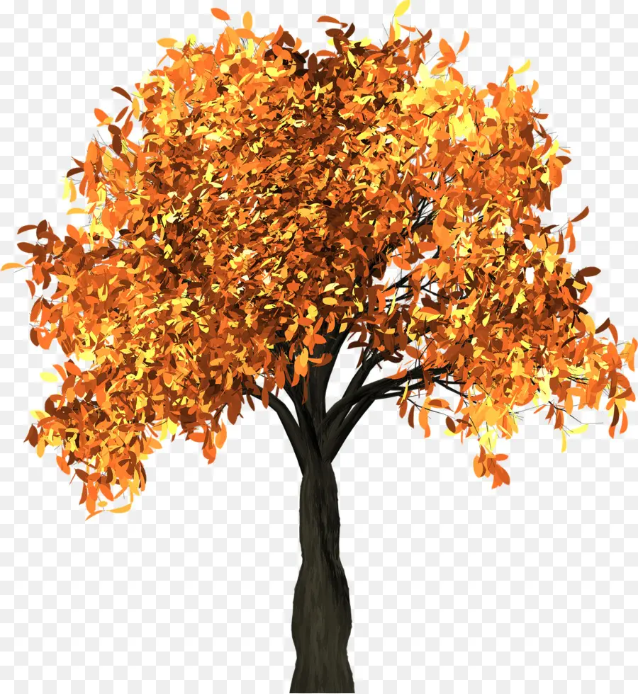 árbol De Otoño，Hojas PNG