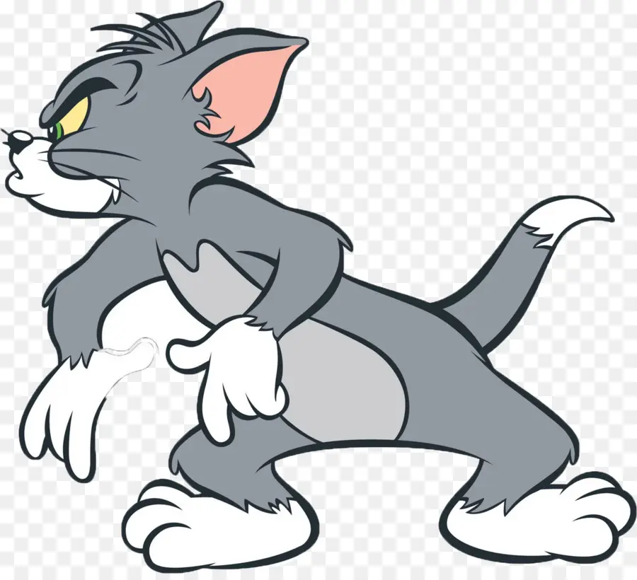 Gato Tom，El Ratón Jerry PNG