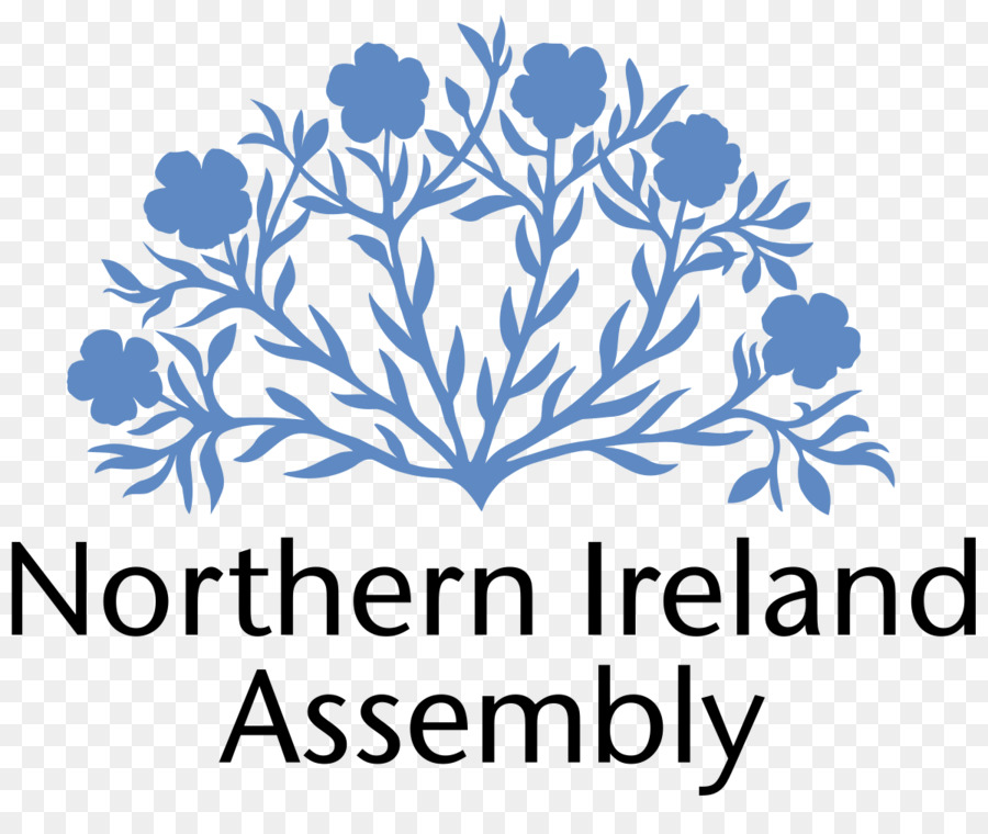 Edificios Del Parlamento，Asamblea De Irlanda Del Norte De Las Elecciones De 2017 PNG