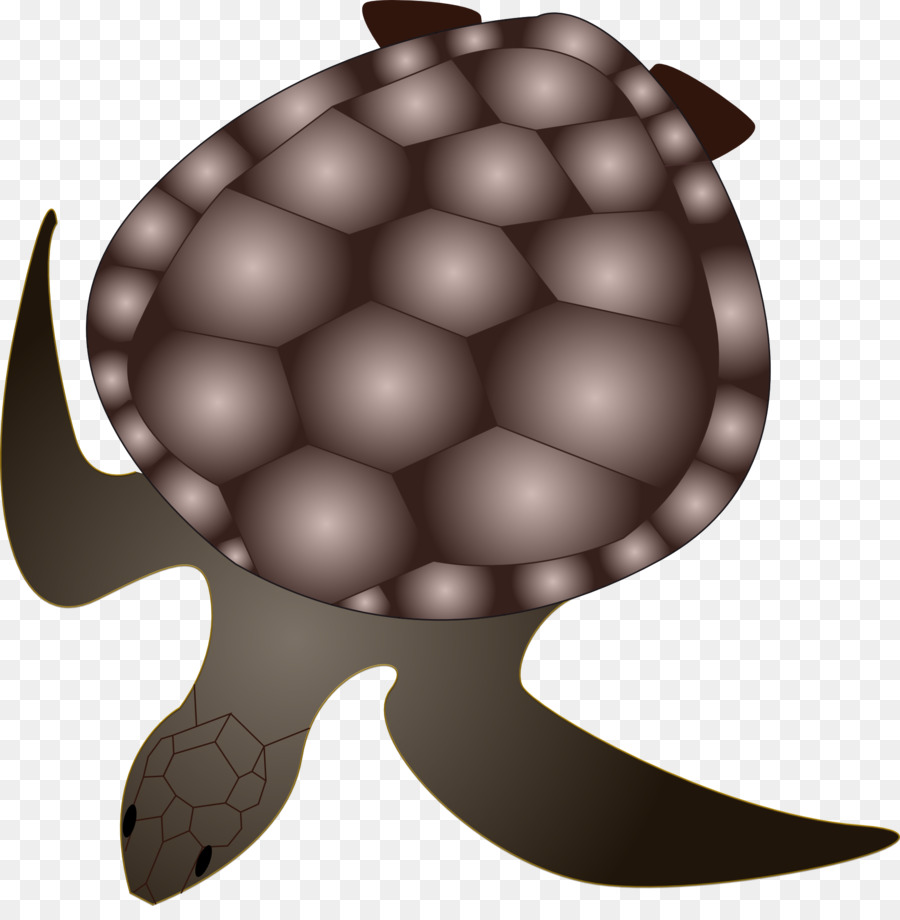 Tortuga，Reptiles PNG