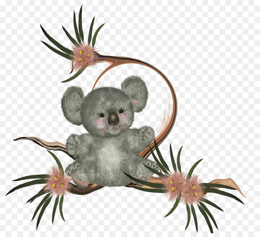 Koala，De Los Vertebrados PNG