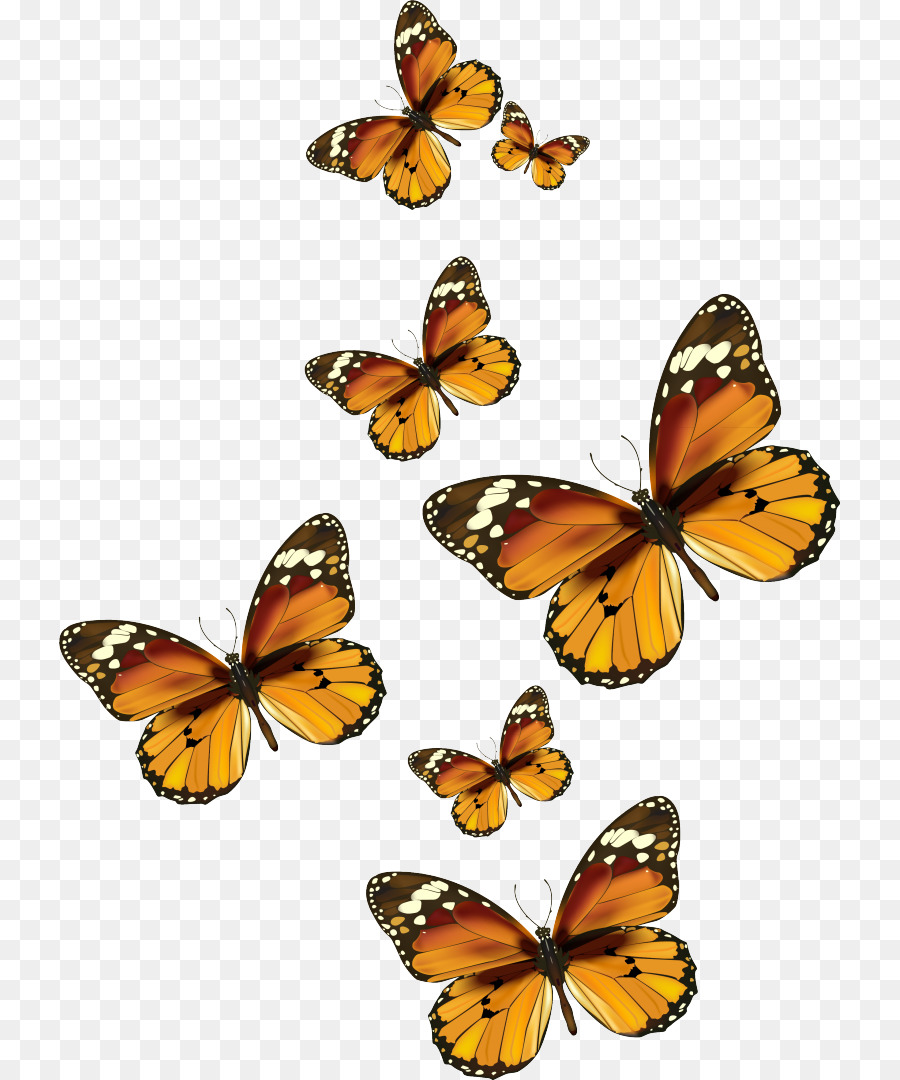 Mariposas Amarillas，Alas PNG