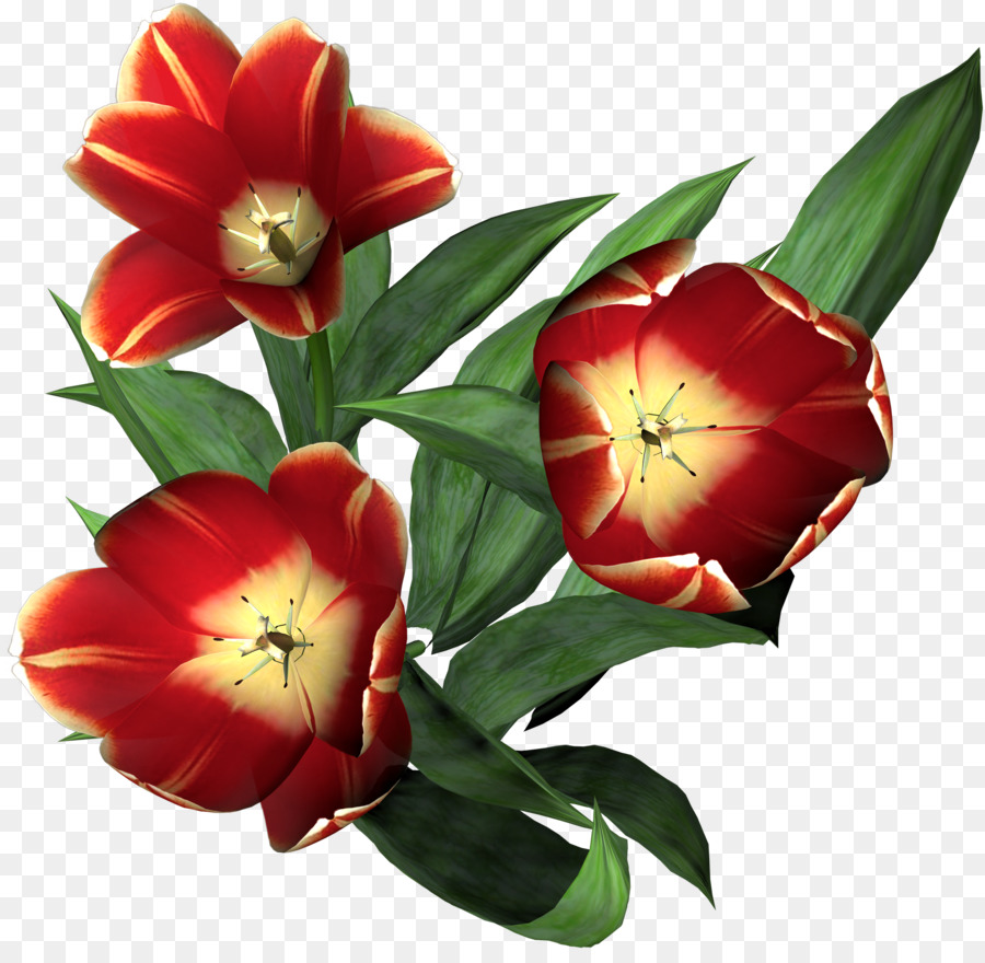 Tulipanes Rosados，Ramo PNG