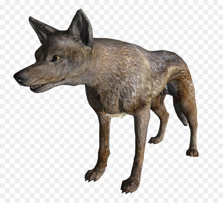 Fallout New Vegas，Coyote PNG