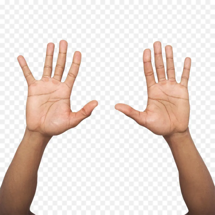 De La Mano，Una Fotografía De Stock PNG