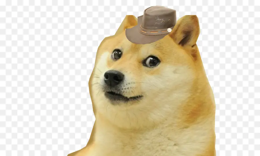 Doge，Shiba Inu PNG