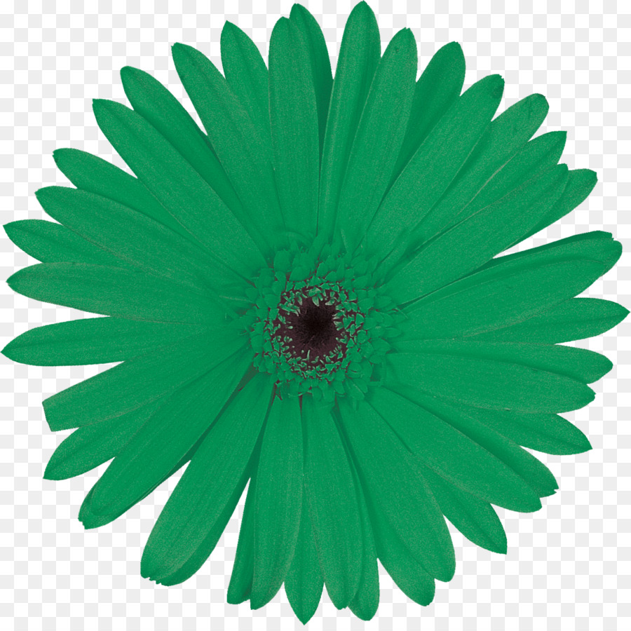 Flor，Florecer PNG