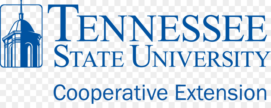 La Universidad Estatal De Tennessee，East Tennessee State University PNG