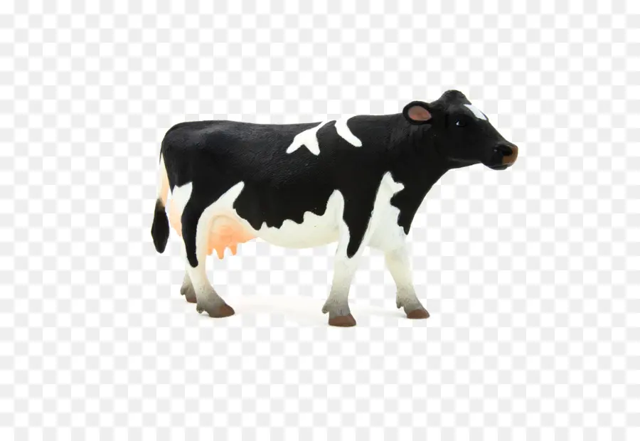 Ganado Frisio De Holstein，Oveja PNG