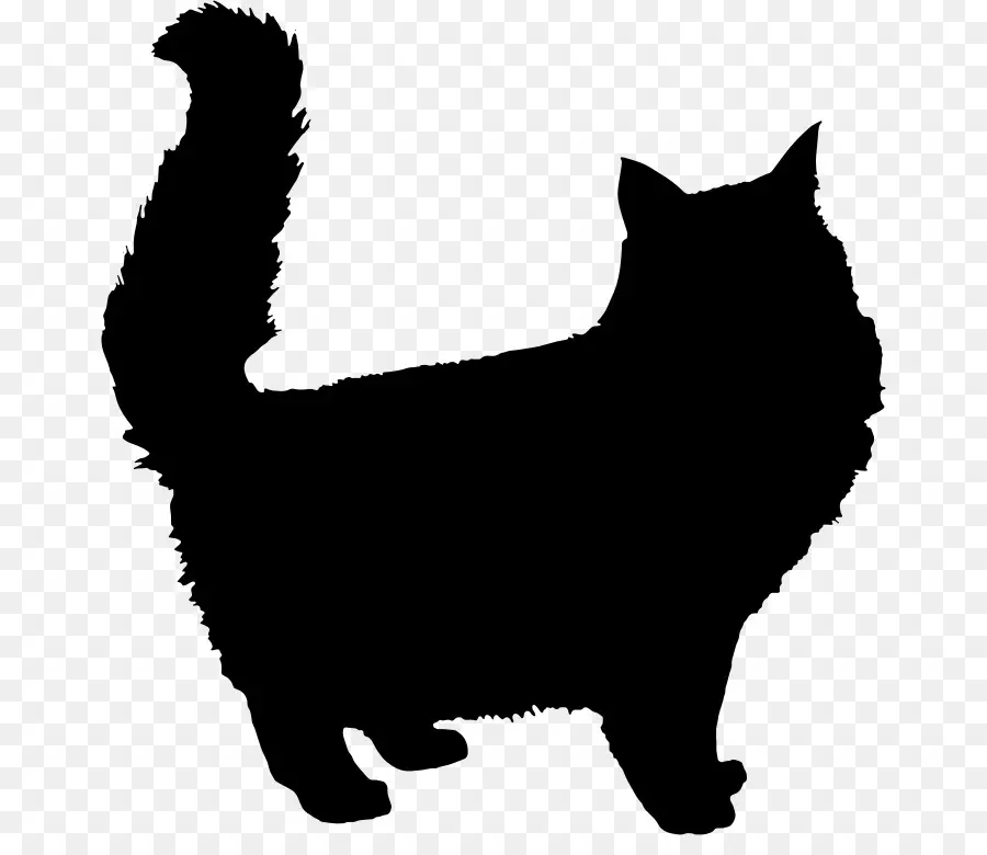 Silueta De Gato，Mascota PNG