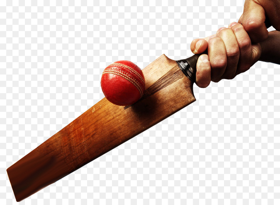 Bate Y Pelota De Críquet，Cricket PNG