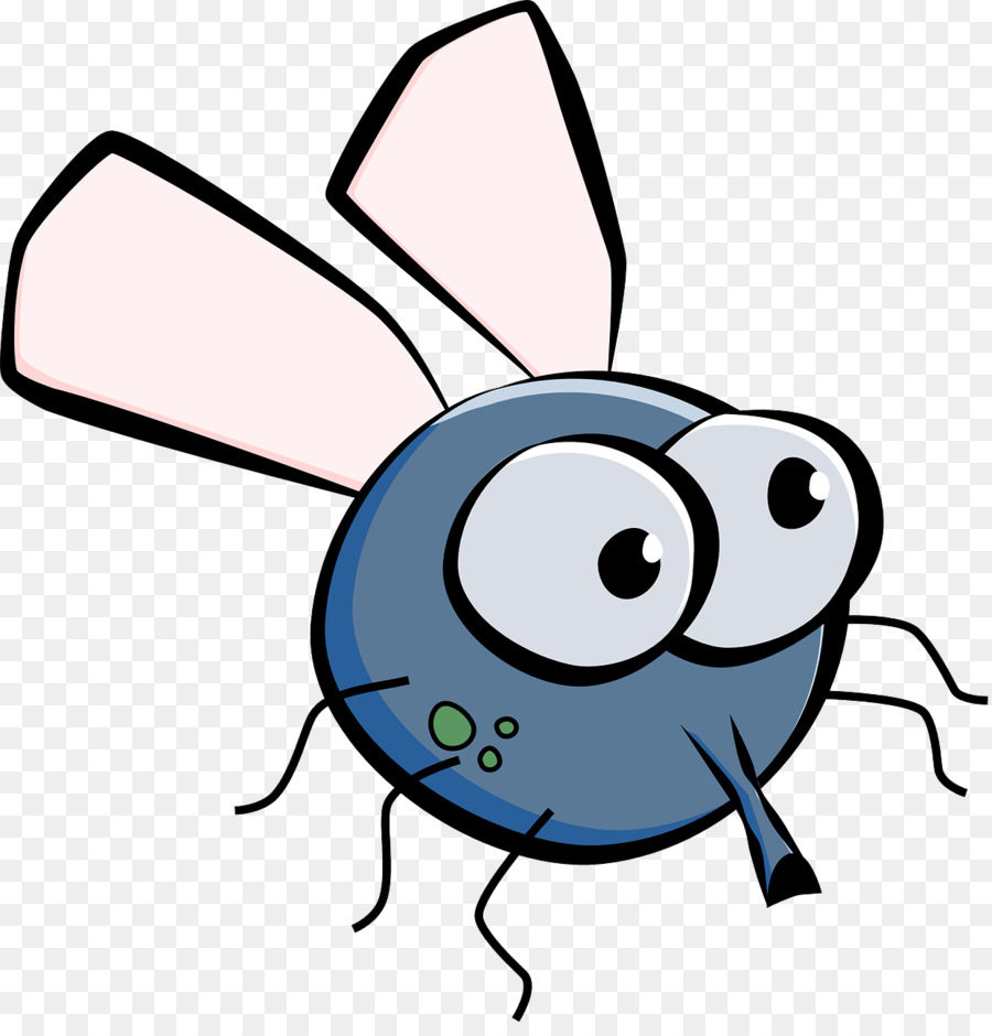 Mosca De Dibujos Animados，Ojos Grandes PNG