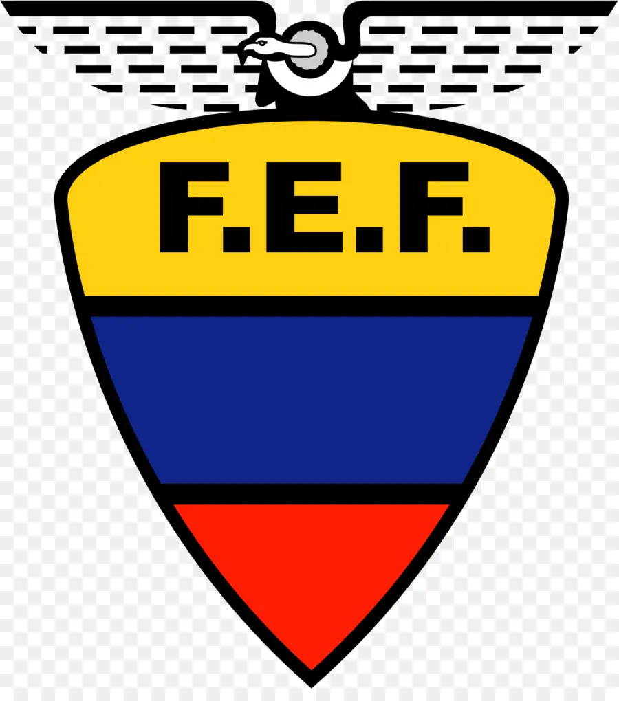 Equipo Nacional De Fútbol De Ecuador，Ecuador PNG