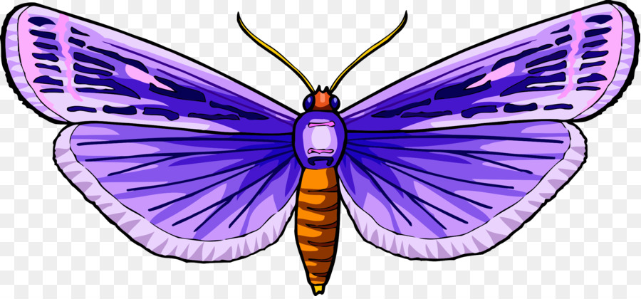 Mariposa，Iconos De Equipo PNG