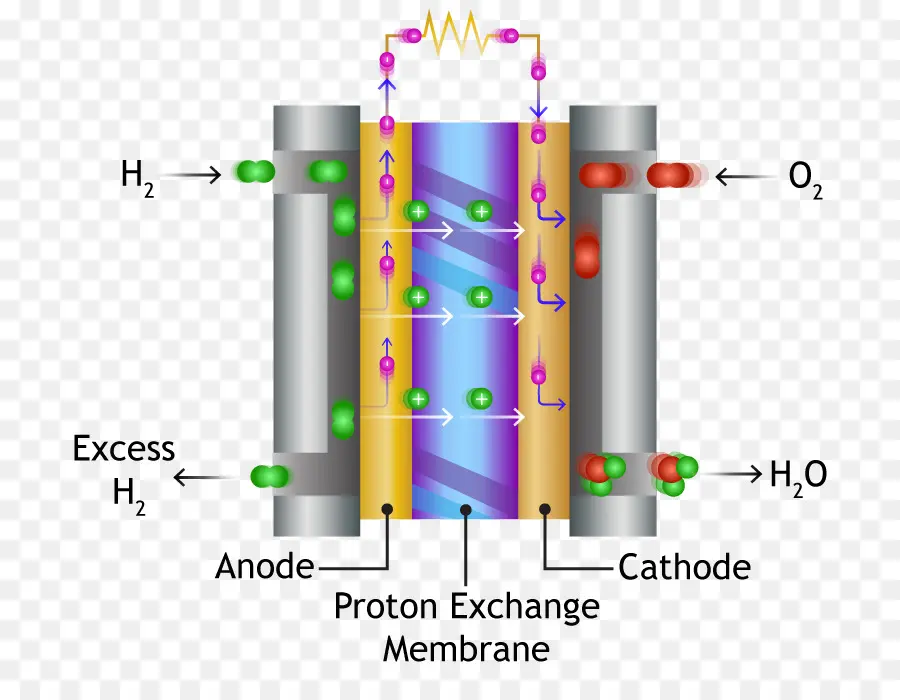 Protonexchange De Combustible De Membrana De La Célula，Las Células De Combustible PNG