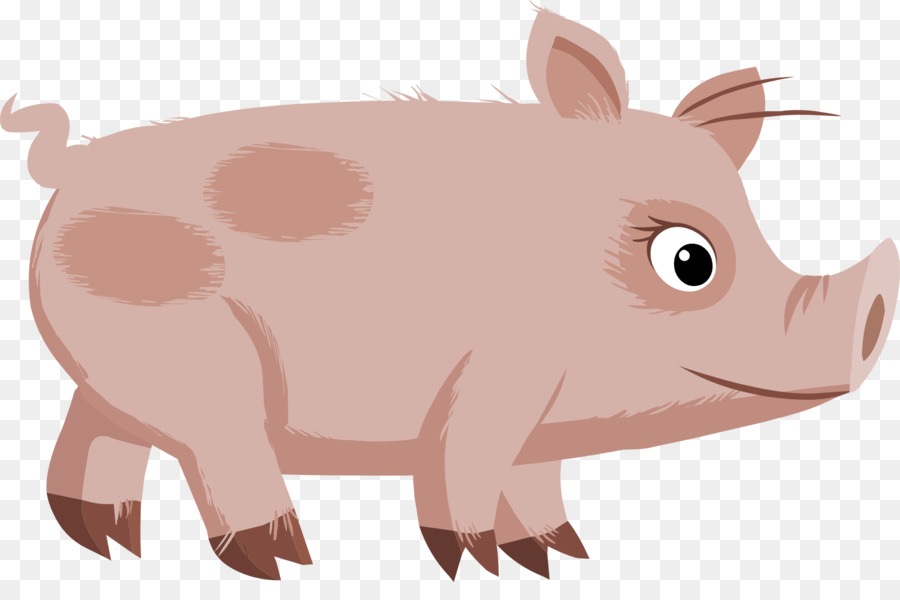 Cerdo Doméstico，Cerdo PNG