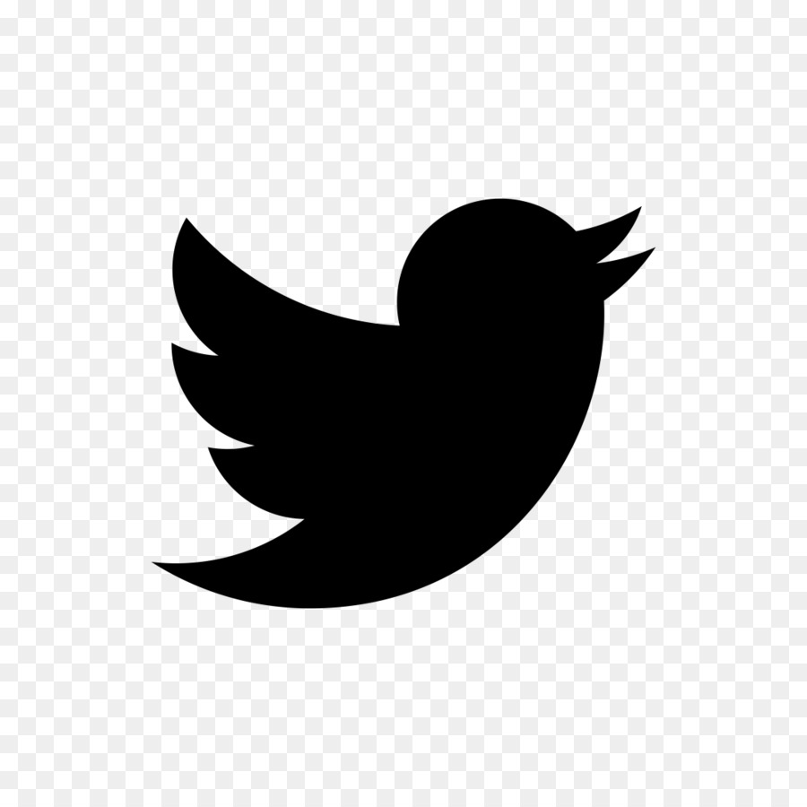 Logotipo De Twitter，Pájaro PNG