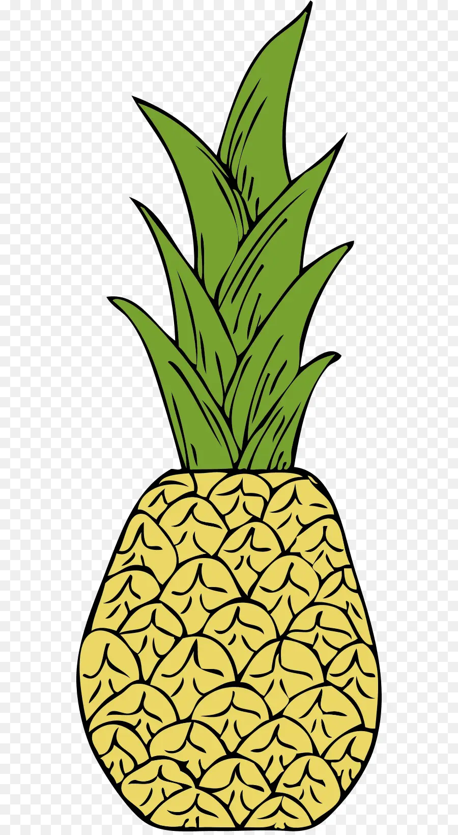 Piña，Tropical PNG