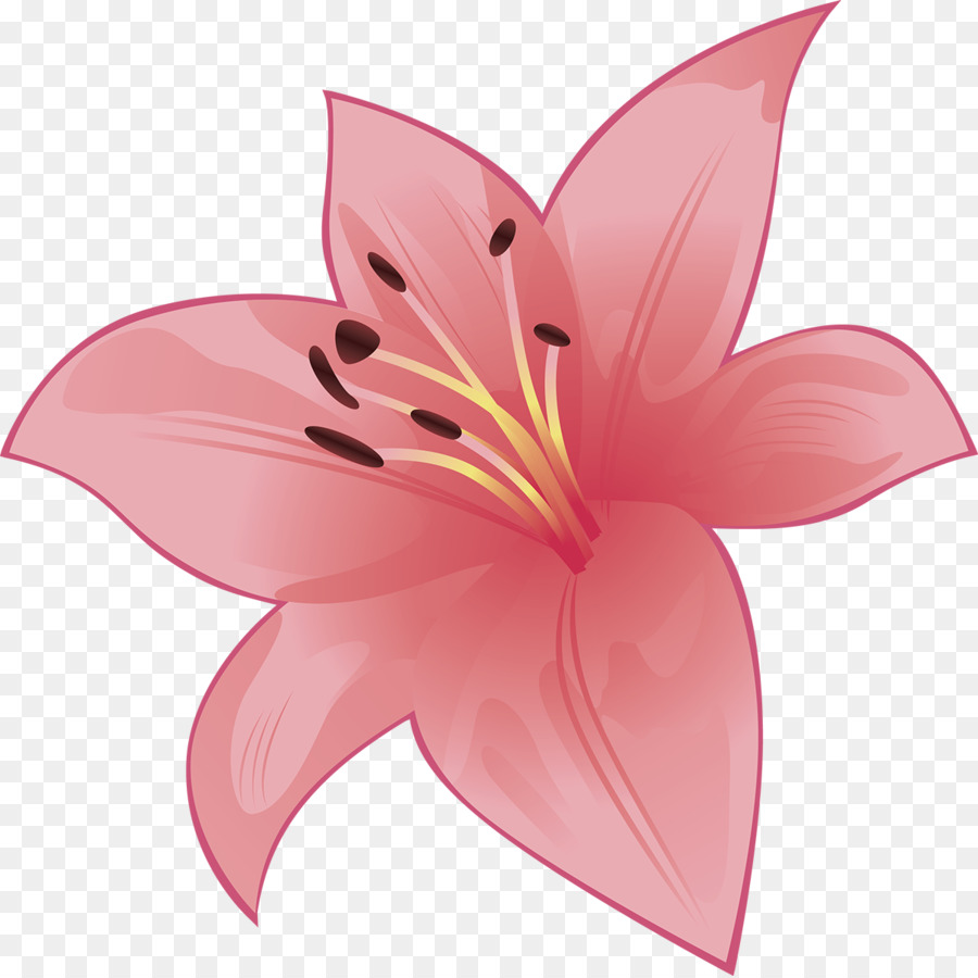 Flor，Rosa PNG