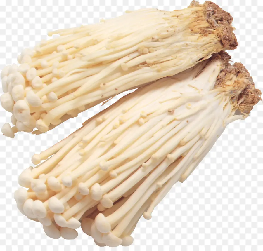 Enokitake，Seta PNG