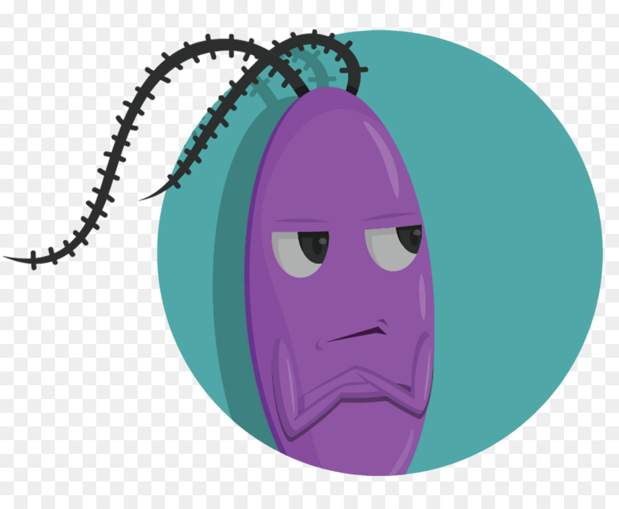 Avatar，Violeta PNG