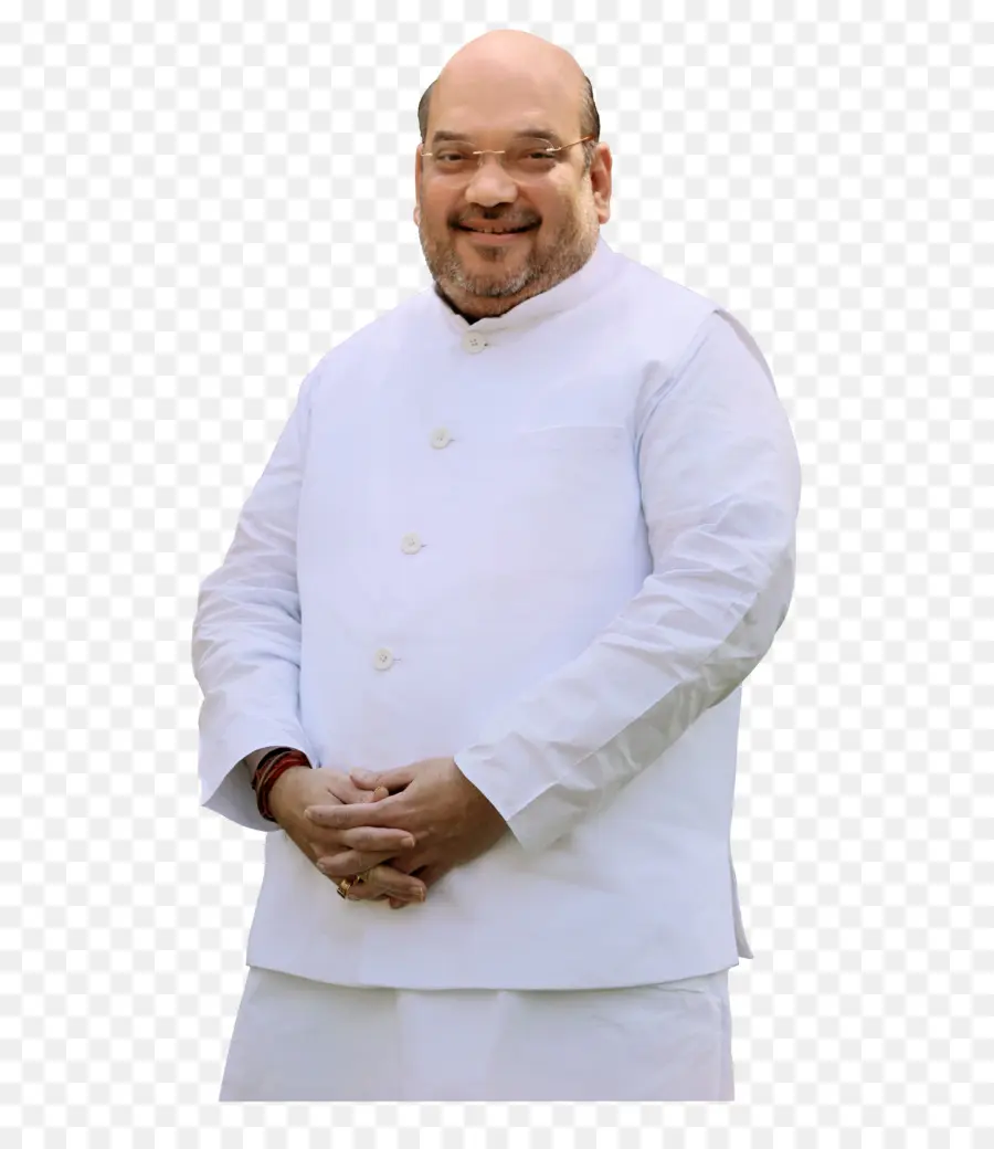 Amit Shah，El Partido Bharatiya Janata PNG