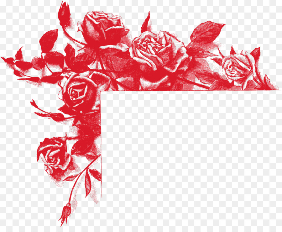 Rosas，Rojo PNG