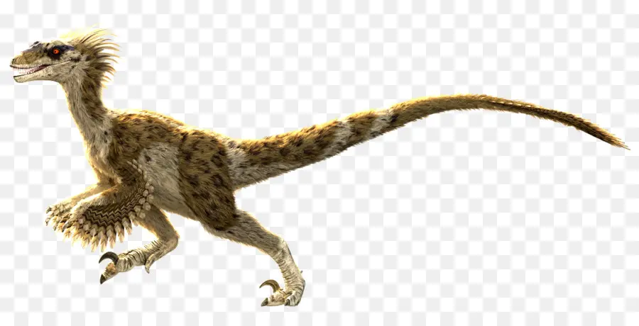 Dinosaurio Emplumado，Prehistórico PNG