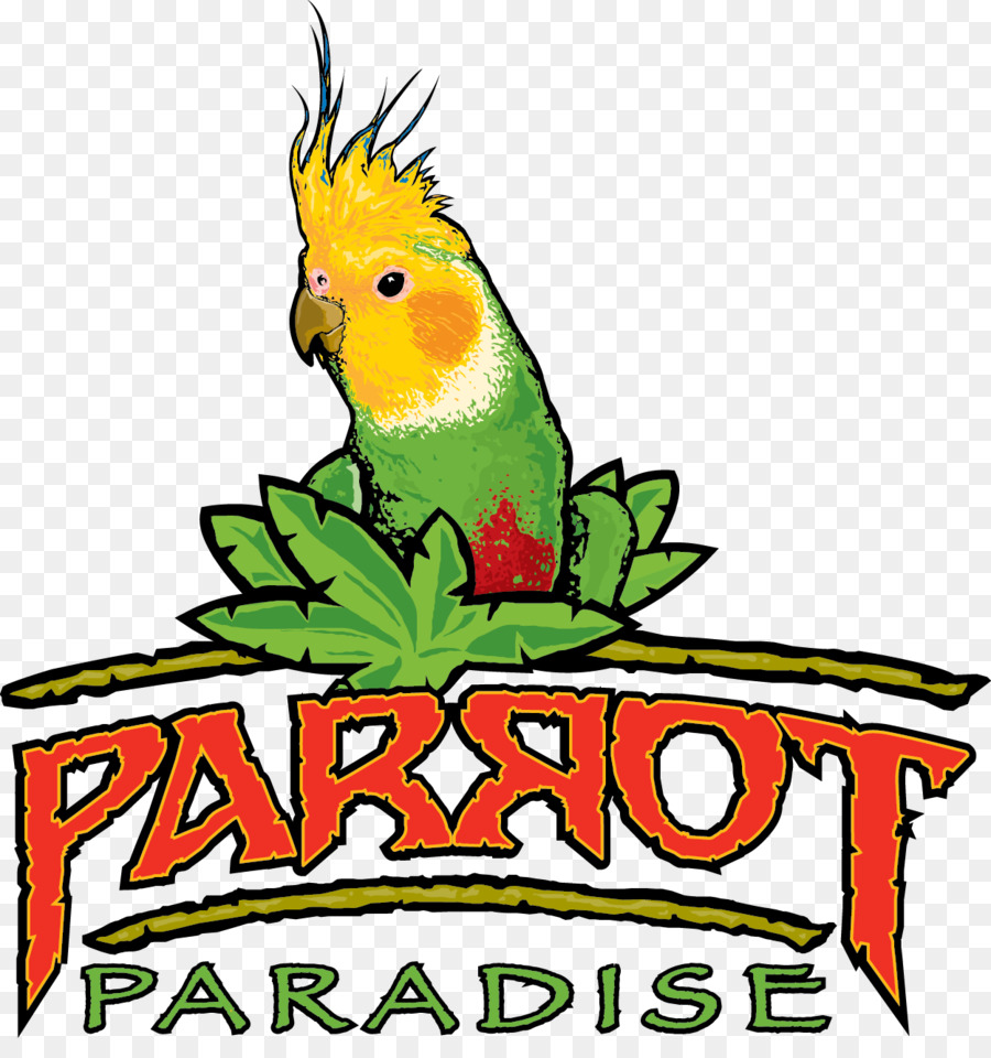 Parrot，Pájaro PNG