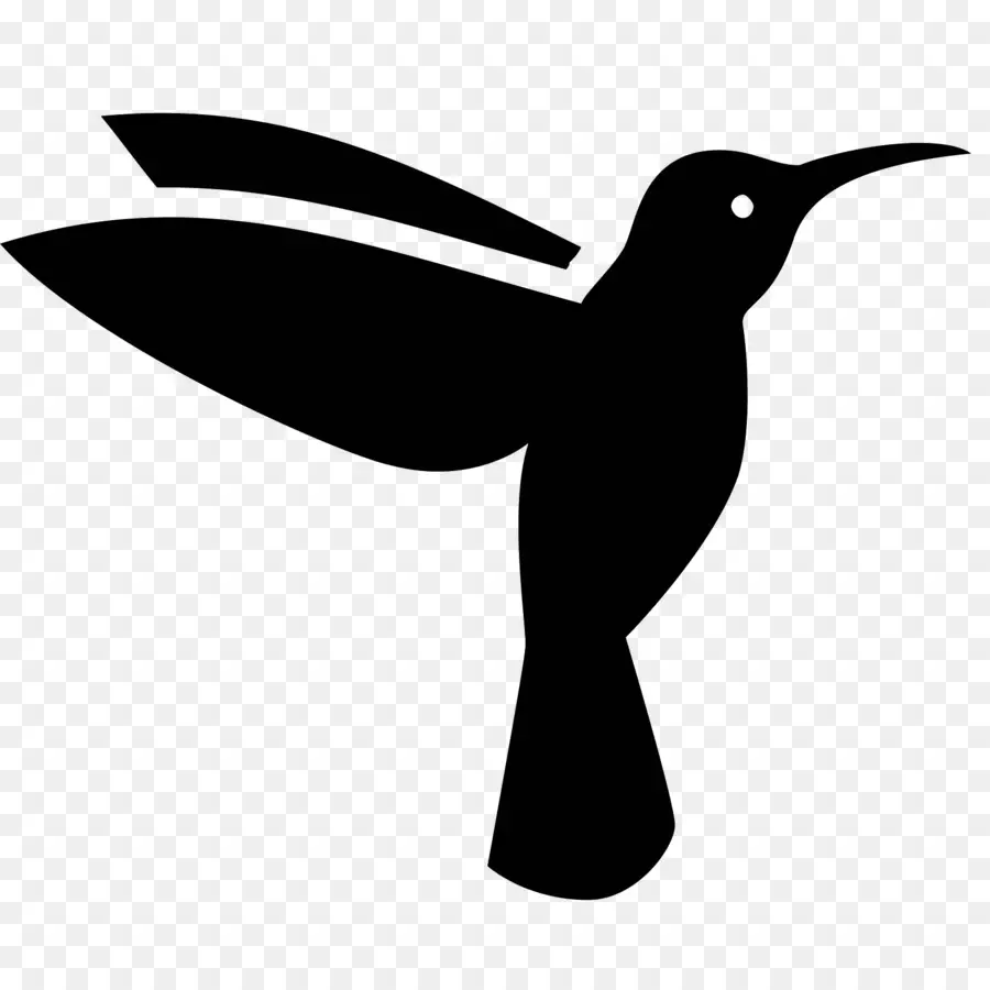 Pájaro，Colibrí PNG