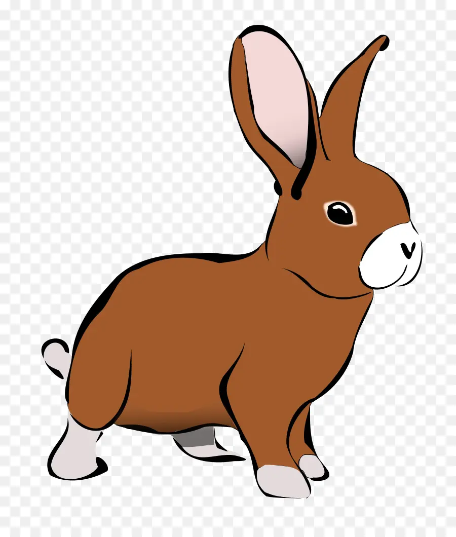 Conejo，Conejito PNG