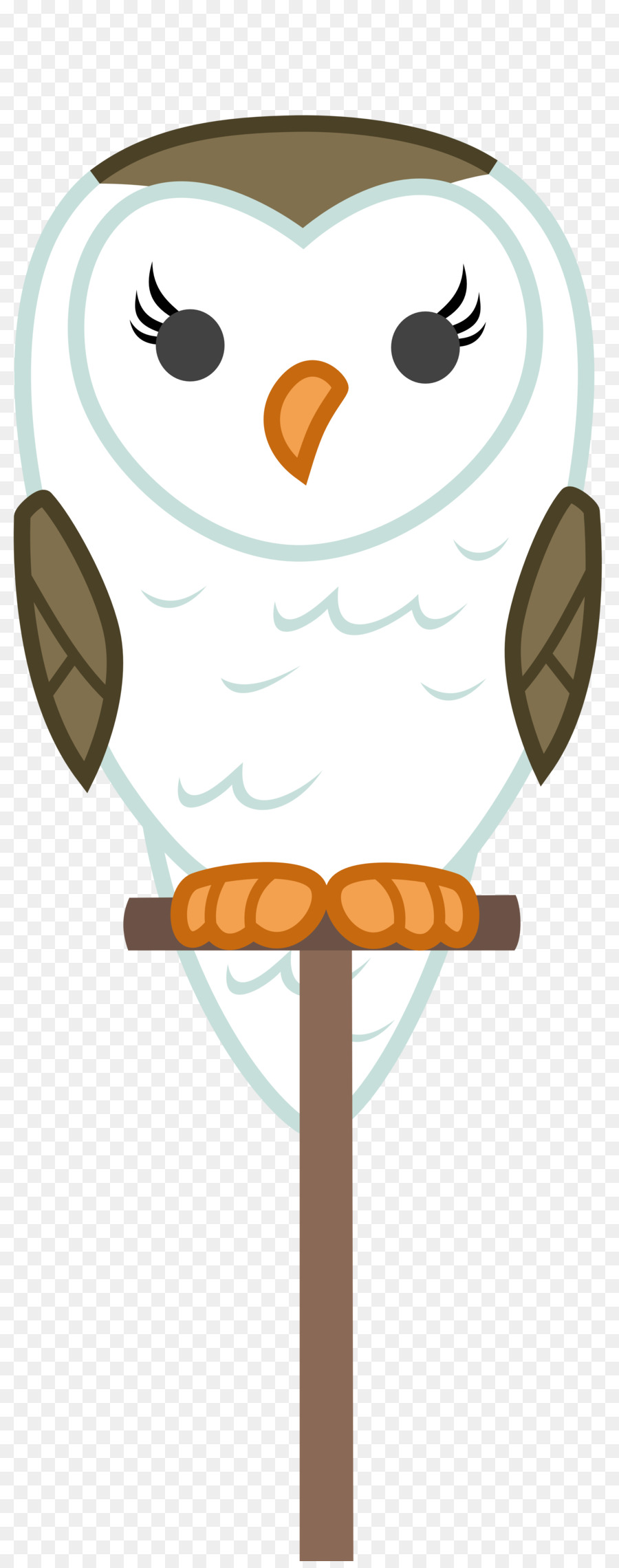 Pájaro，De Los Vertebrados PNG