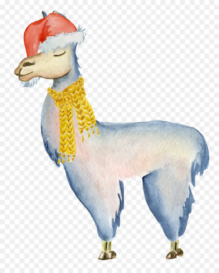 Llama Con Sombrero，Llama PNG