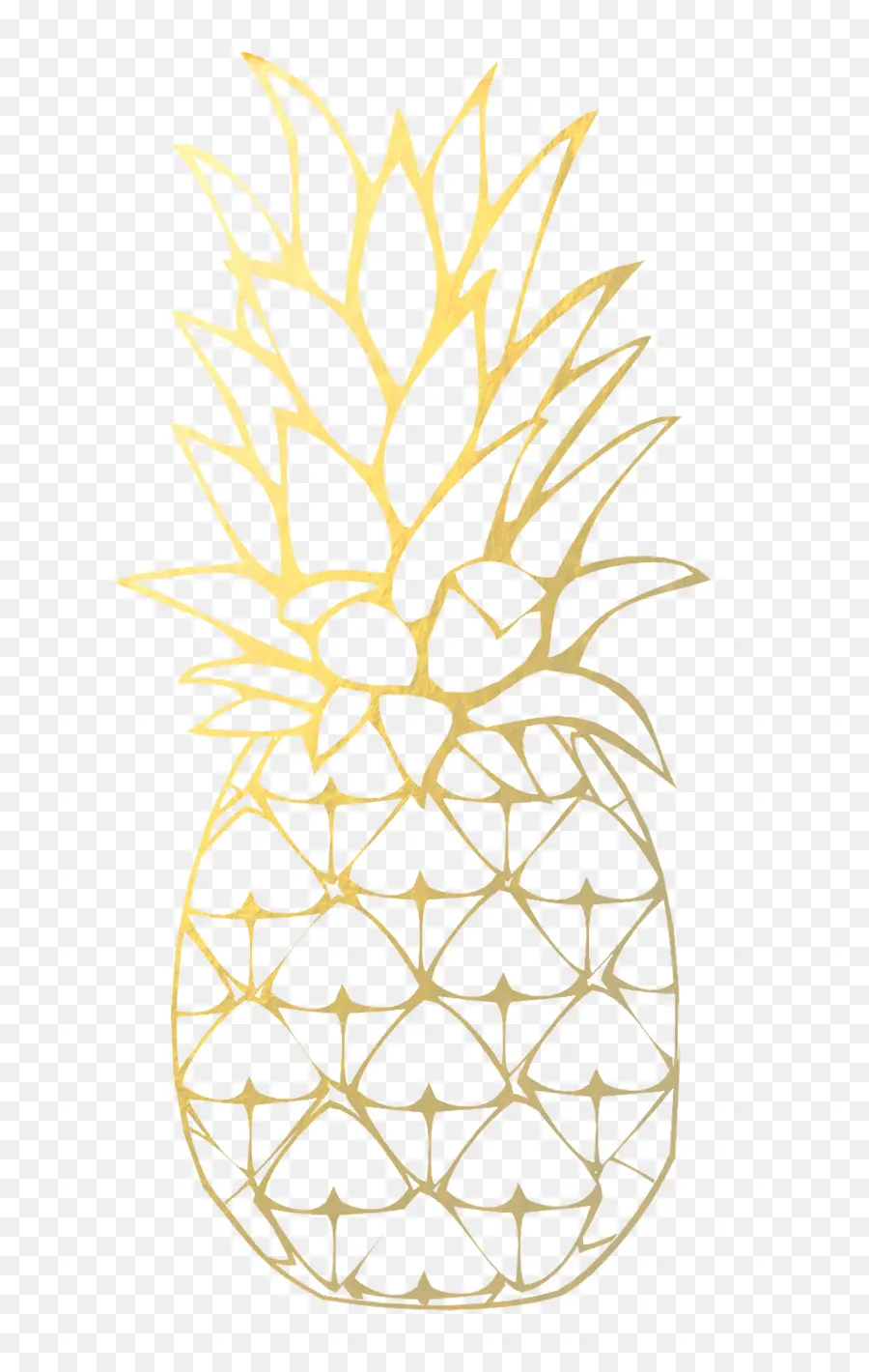 Piña，Dibujo PNG